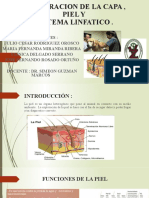 Exploracion de La Capa, Piel y - Sistema Linfatico .