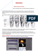 Temas de Obstetricia