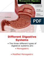 K-2-Kuda - Digestive Monogastric