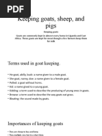 Keeping Goats, Sheep, and Pigs