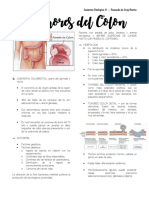 Resumo 6 - Tumores de Colon