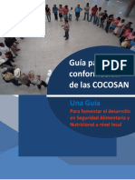 Guia Operativa Conformación COCOSAN