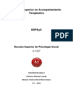 Practica Formativa Psicopatologia