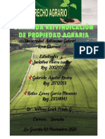 Demanda de Proceso Agrario