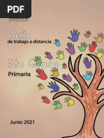 Primaria Guía 5to para Contenios Curriculares