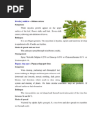 Powdery Mildew: - Oidium Caricae Symptoms