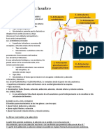 HOMBRO - Anatomia y Biomecanica