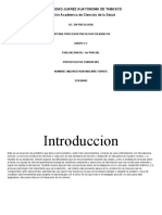 Portafolio Procesos Psicologicos Basicos