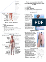 Peripheral Vascular Assessment