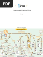 Mapa Conceptual Miembros Inferior 232573 Downloable