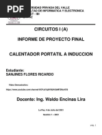 Proyecto Calentador A Induccion 1