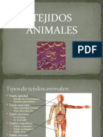 Tejidos