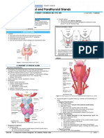 05.04 - Thyroid and Parathyroid Glands