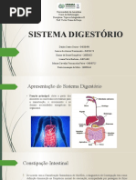 SISTEMA DIGESTÓRIO - Slides