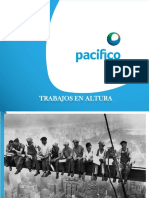 Trabajo en Altura Pacifico - Ii