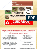 Acidentes Com Animais Peçonhentos