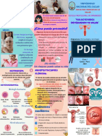 Tríptico Cancer Antropo Final