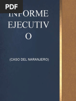 Informe Ejecutivo Del Caso Del Naranjero