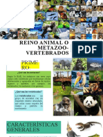 Reino Animal o Metazoo-Vertebrados