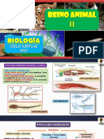 Clase 15 - Reino Animal-Vertebrados