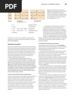 Sintésis de Lípidos - Lectura (1) .En - Es