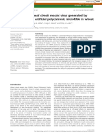 Resistance To Wheat Streak Mosaic Virus Generated by Expression of An Artificial Polycistronic Microrna in Wheat