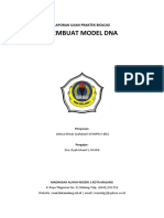 (Laporan Pembuatan Model Dna) Anissa Nimas Xii Mipa 5