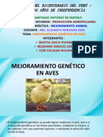 NÉTICO EN AVES - EXPOSICIÓN WPS Office