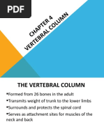 Chapter 4 - Vertebral Column