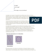 Nuevo Documento de Microsoft Word