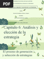 Capitulo 6-Analisis y Eleccion de La Estrategia