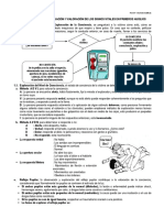 Clase 3-Evaluacion de Los Signos Vitales en Primeros Auxlios