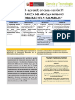 Semana 21 - Aprendo en Casa - Sesión 31