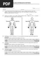 Cuestionario Breve para La Evaluaci 243 N Del Dolor