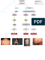 Flujograma Semana 5 Lesiones Hipopigmentadas Grupo c1 Reyna Yrrazabal José Miguel