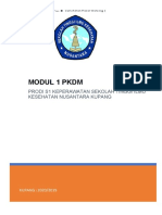 Modul - 1 - Bahan - Ajar - PKDM 1