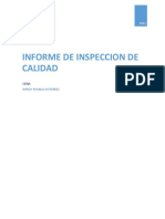 Informe Inspecciones