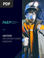 Gestión de Operaciones Mineras