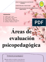 Areas de Evaluacion Psicopedagógica