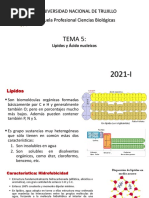 TEORÍA SEMANA 5. Lípidos y Ácidos Nucleicos