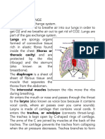 Chapter 11 Biology Igcse