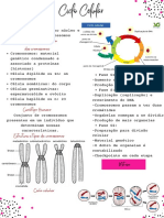 Ciclo Celular - Resumo