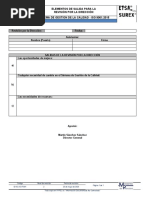 ID-9.3.3-D-FO01 Elementos de Salida de La Revisión Por La Direccion - Rev.2