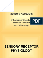 Sensory Receptors: DR Raghuveer Choudhary Associate Professor Dept - of Physiology