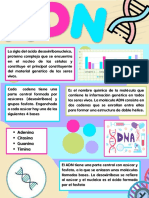 Infografia Adn Fernanda