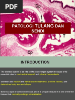 Patologi DAN Sendi: Tulang