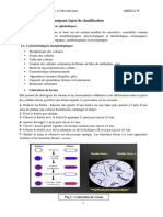 Chapitre III (Types de Classification)