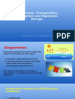 Evaporation, Transpiration, Interception and Depression Storage