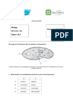 DP1 SL Unit Assessment