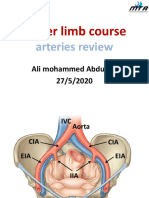 Arteries Review